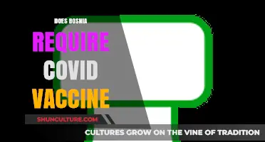 Bosnia's COVID-19 Vaccine Requirements: What Travelers Need to Know