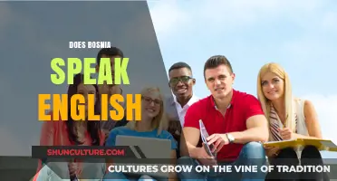 Does Bosnia Speak English? Exploring Language Use and Proficiency in Bosnia