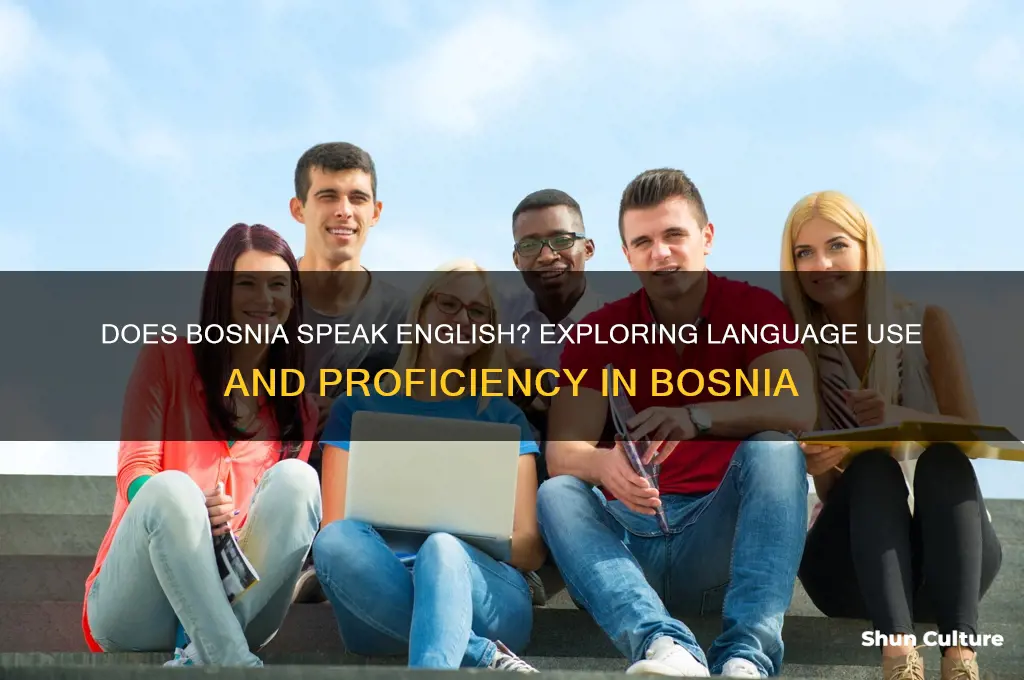 does bosnia speak english