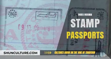 Does Bosnia Stamp Passports? Travel Tips and Border Insights