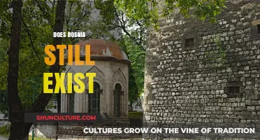 Bosnia's Existence Today: Unraveling the Truth Behind the Country's Status