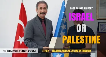 Bosnia's Stance: Israel or Palestine in the Middle East Conflict?