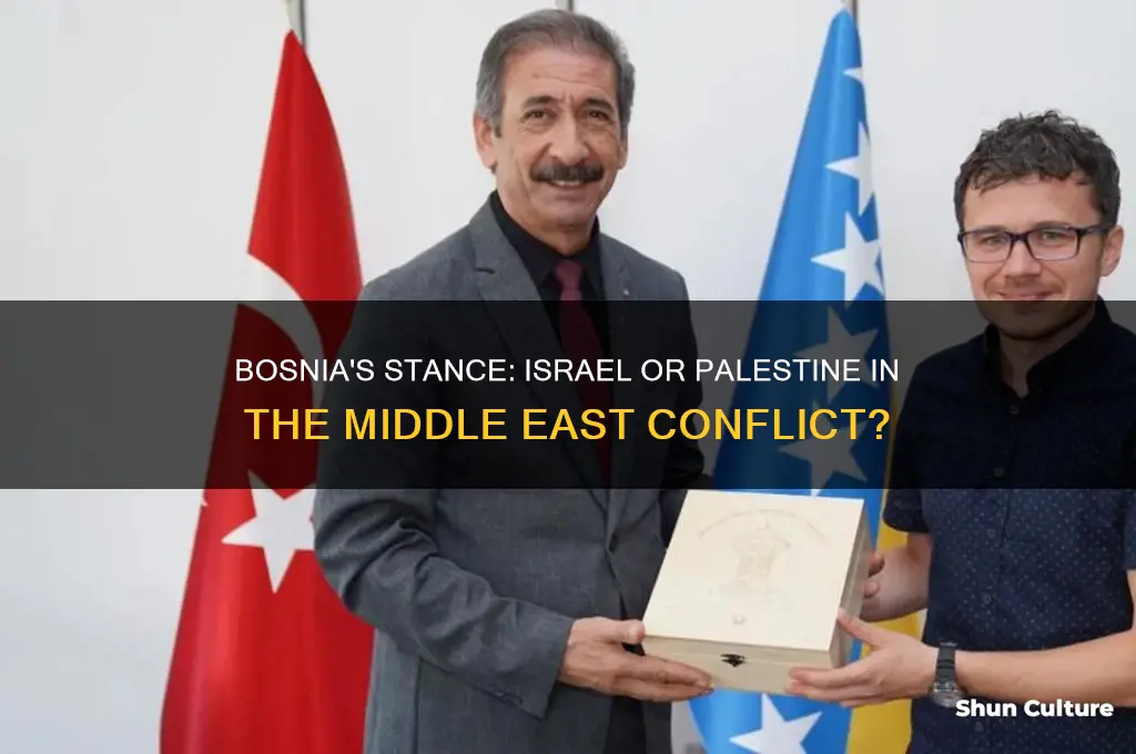 does bosnia support israel or palestine