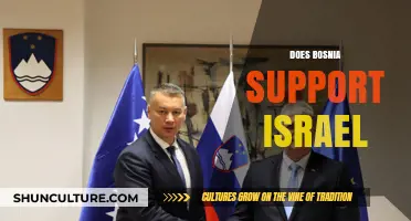 Bosnia's Stance on Israel: A Complex Diplomatic Relationship Explored