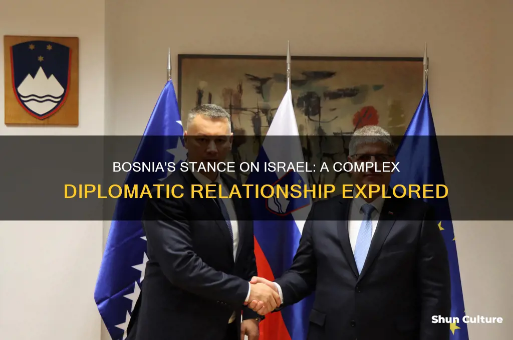 does bosnia support israel