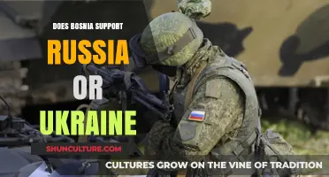 Bosnia's Stance: Navigating Support Between Russia and Ukraine Conflict