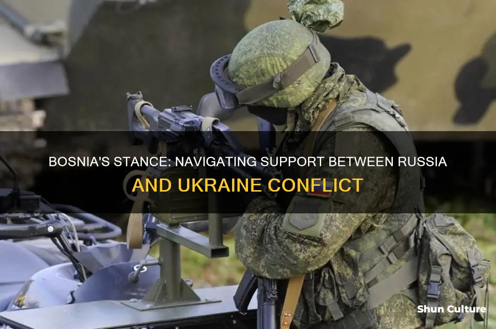 does bosnia support russia or ukraine