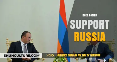 Bosnia's Stance on Russia: Unraveling Complex Geopolitical Allegiances