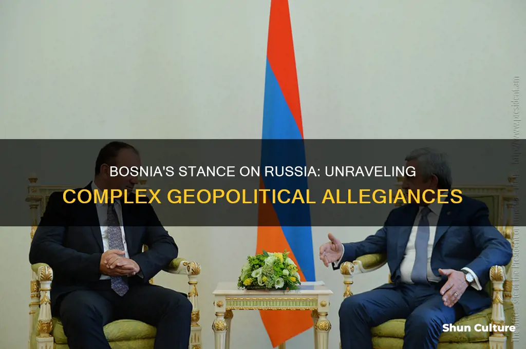 does bosnia support russia