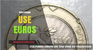 Bosnia's Currency: Does the Country Use Euros or Its Own Mark?