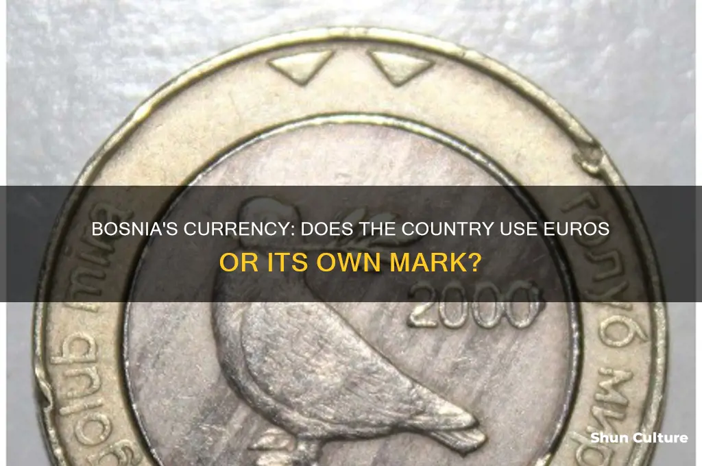 does bosnia use euros