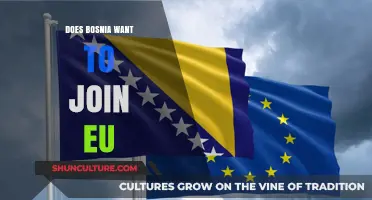 Bosnia's EU Aspirations: Challenges, Progress, and Future Prospects Explored