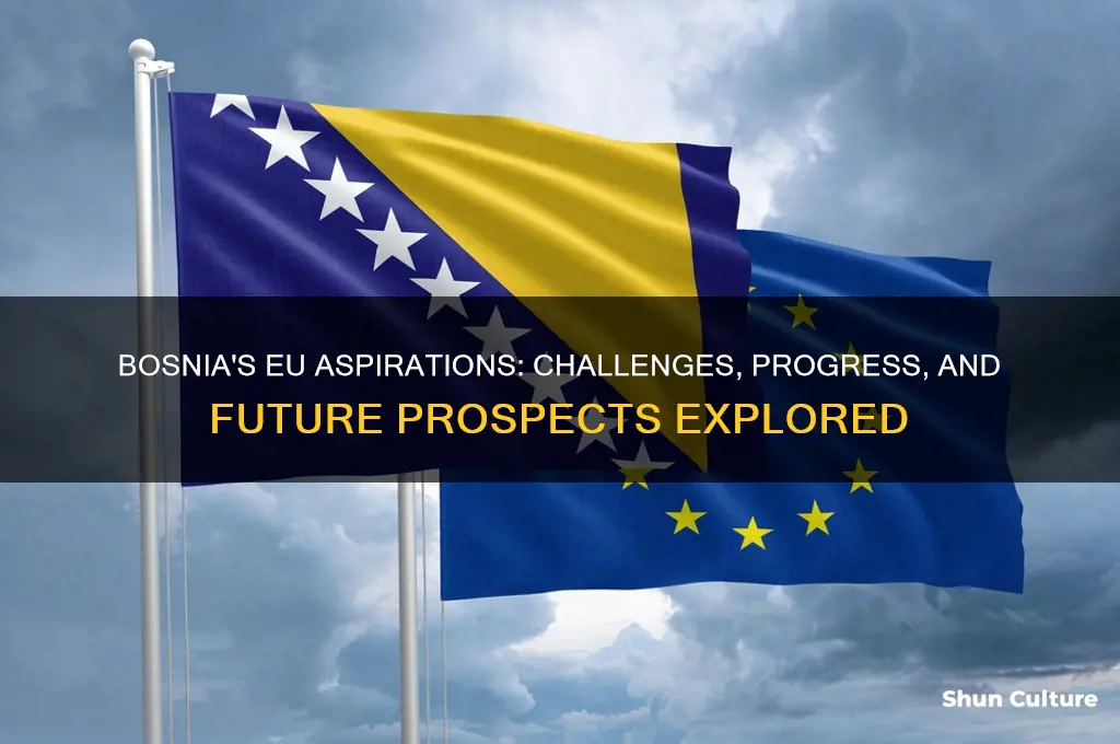does bosnia want to join eu