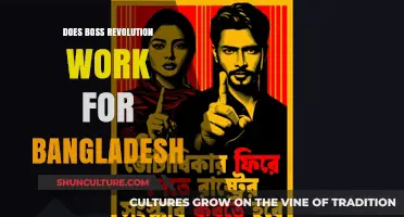 Does Boss Revolution Work for Bangladesh? A Comprehensive Review