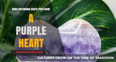 Exploring Botswana Agate: Unveiling the Mystery of Purple Heart Patterns