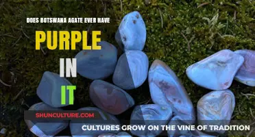 Exploring Botswana Agate: Unveiling Its Rare Purple Hues and Origins