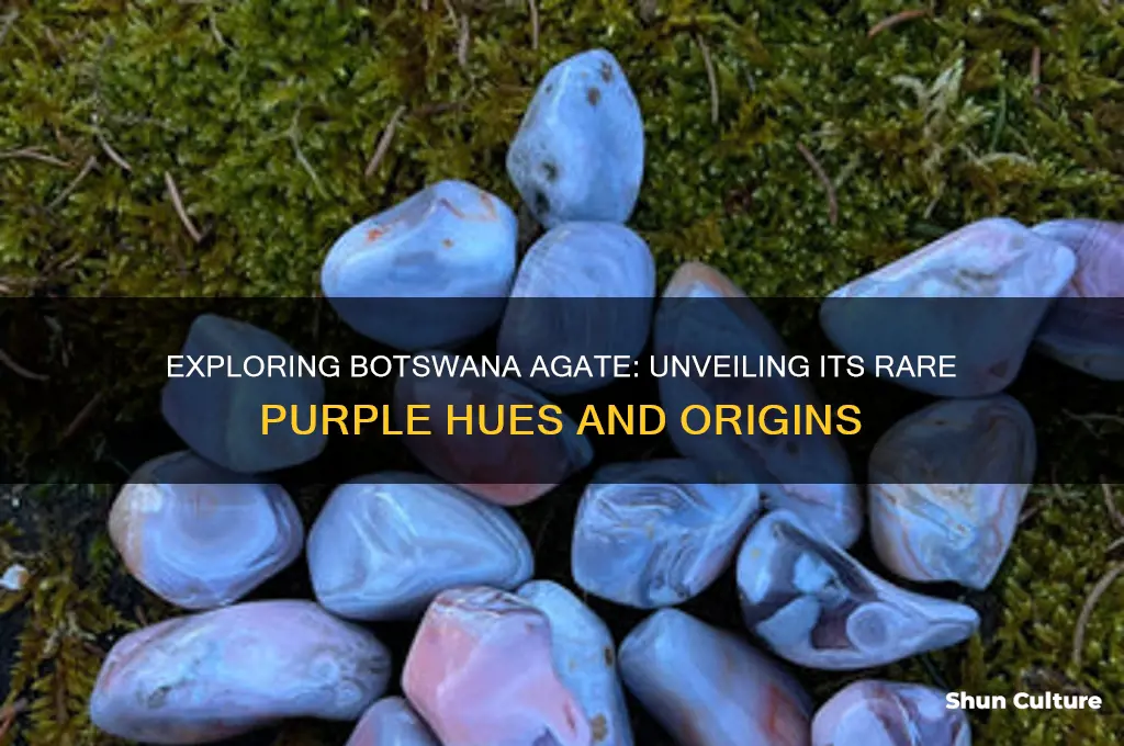 does botswana agate ever have purple in it