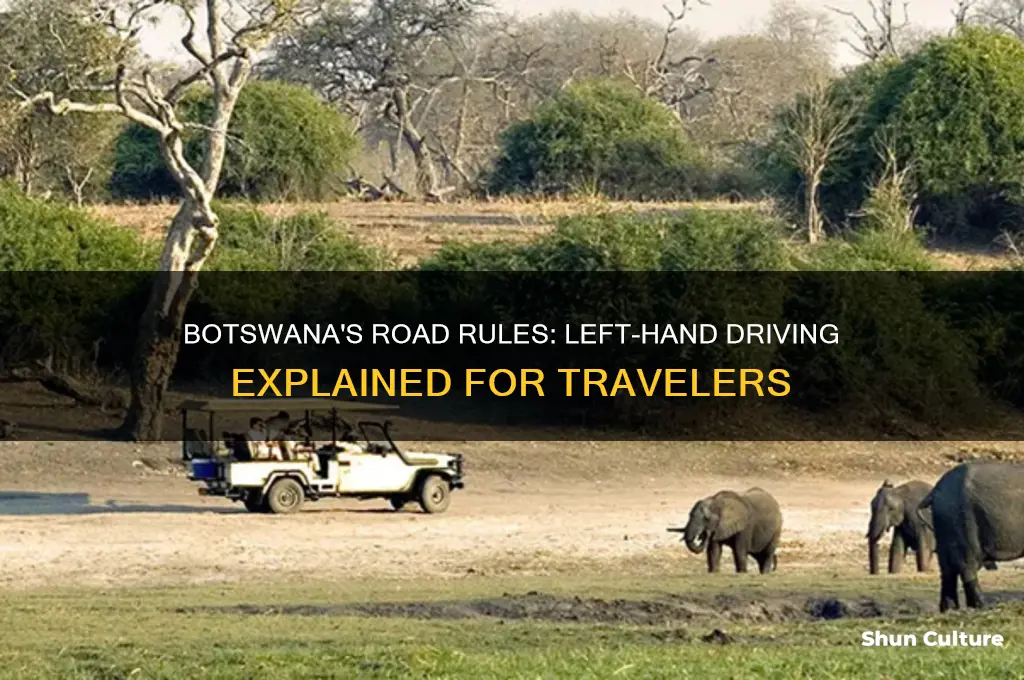 does botswana drive on the left