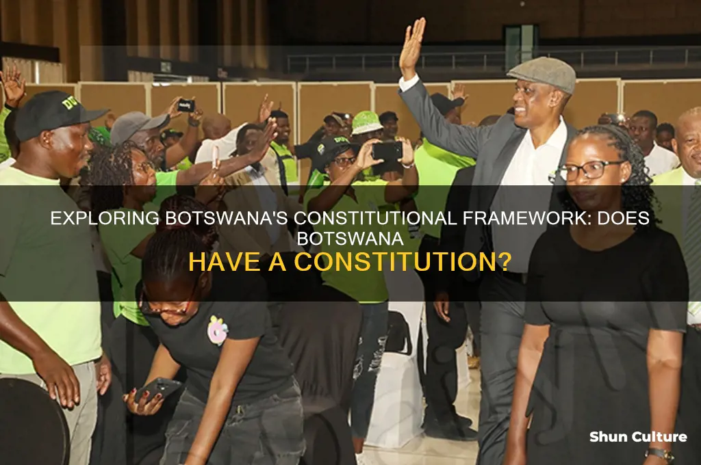 does botswana have a constitution