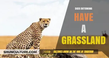 Exploring Botswana's Diverse Ecosystems: Grasslands and Beyond