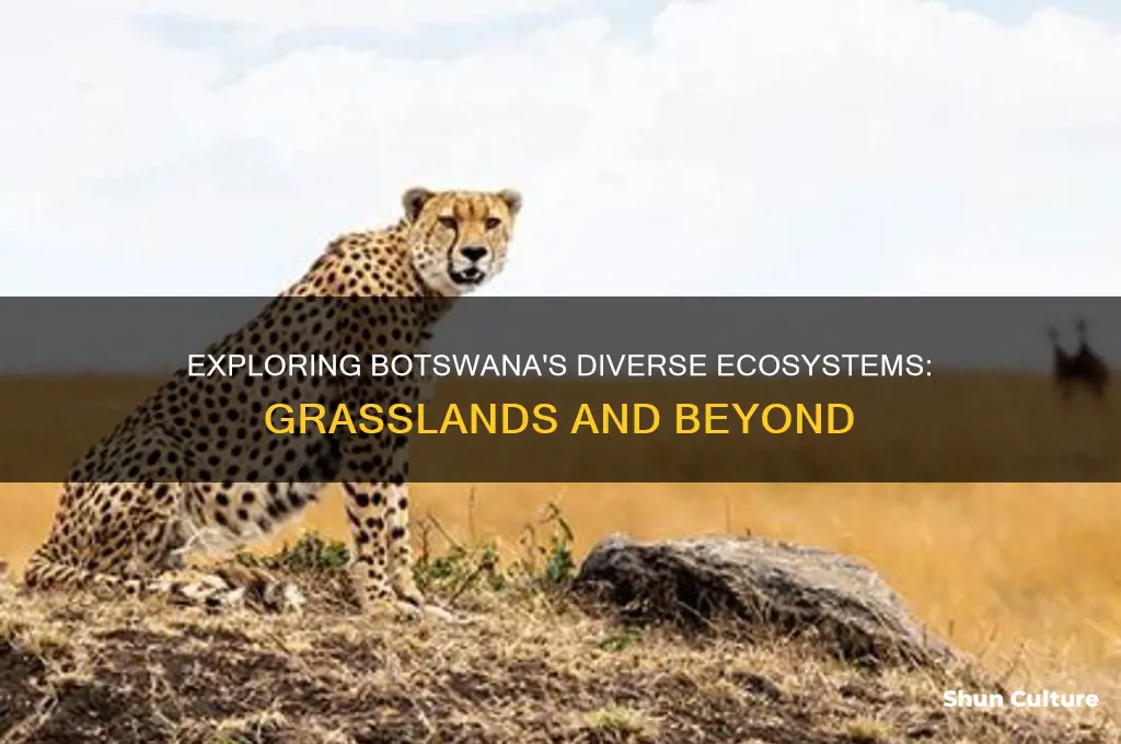 does botswana have a grassland