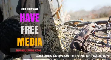 Botswana's Media Freedom: Reality, Challenges, and Press Independence Explored