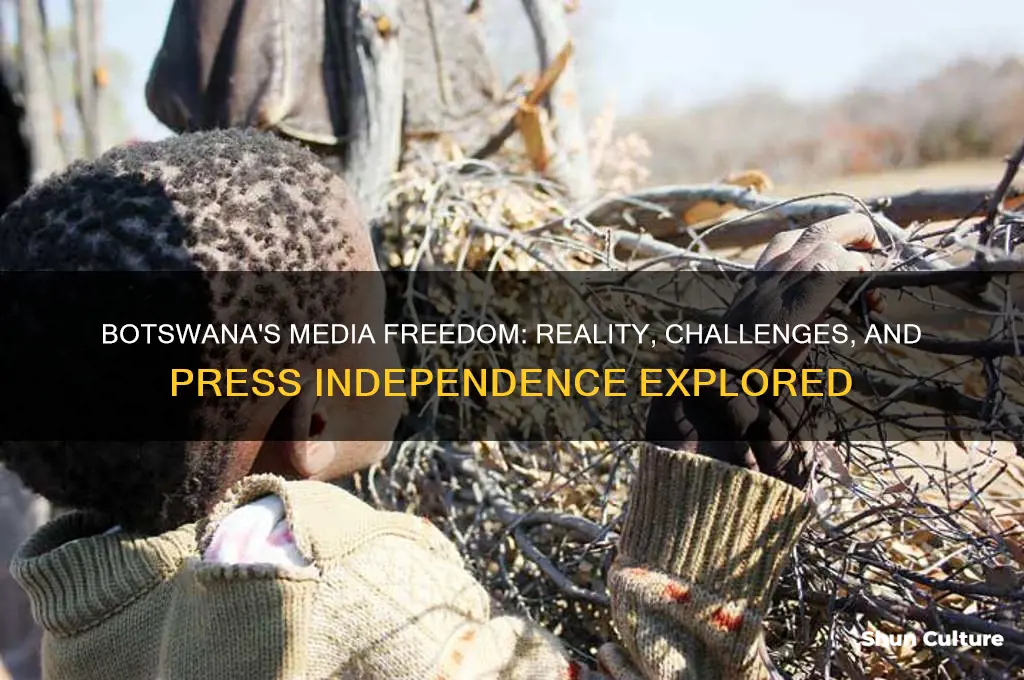 does botswana have free media