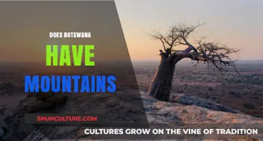 Exploring Botswana's Landscape: Are There Mountains in This African Nation?