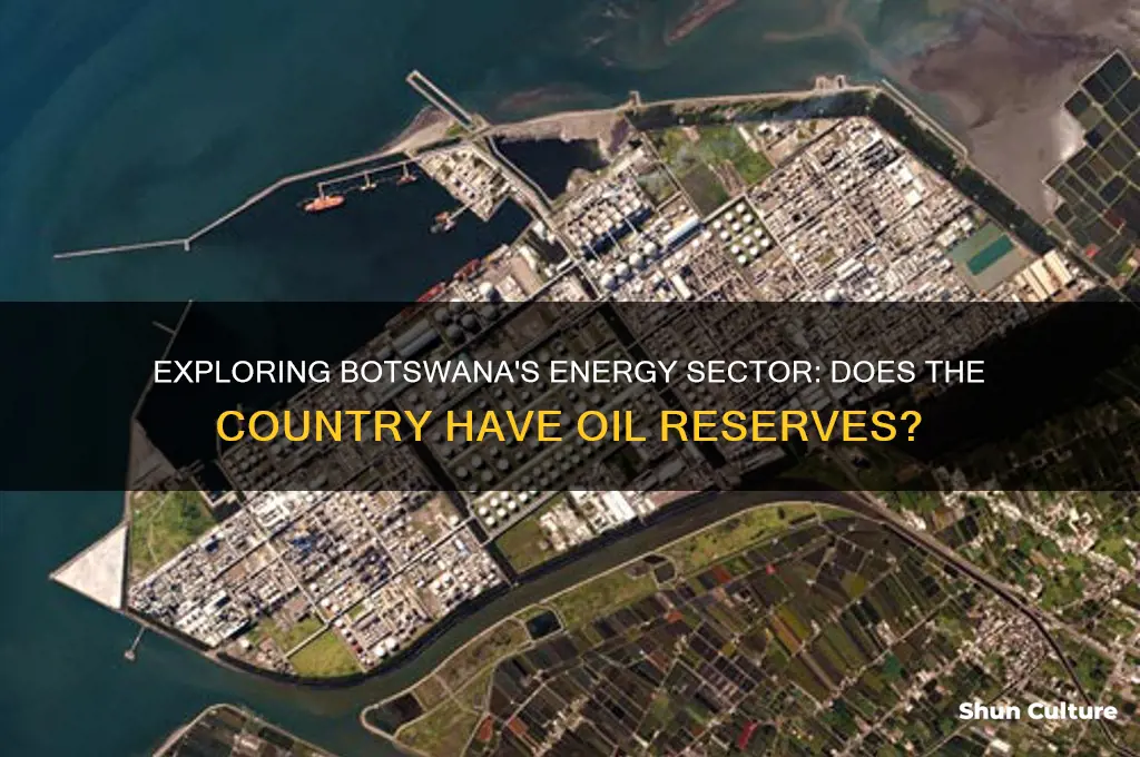 does botswana have oil