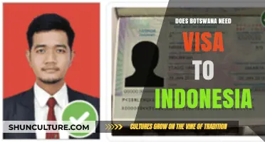 Botswana to Indonesia: Visa Requirements Explained for Travelers