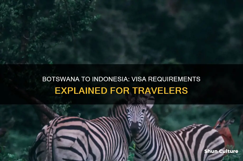 does botswana need visa to indonesia