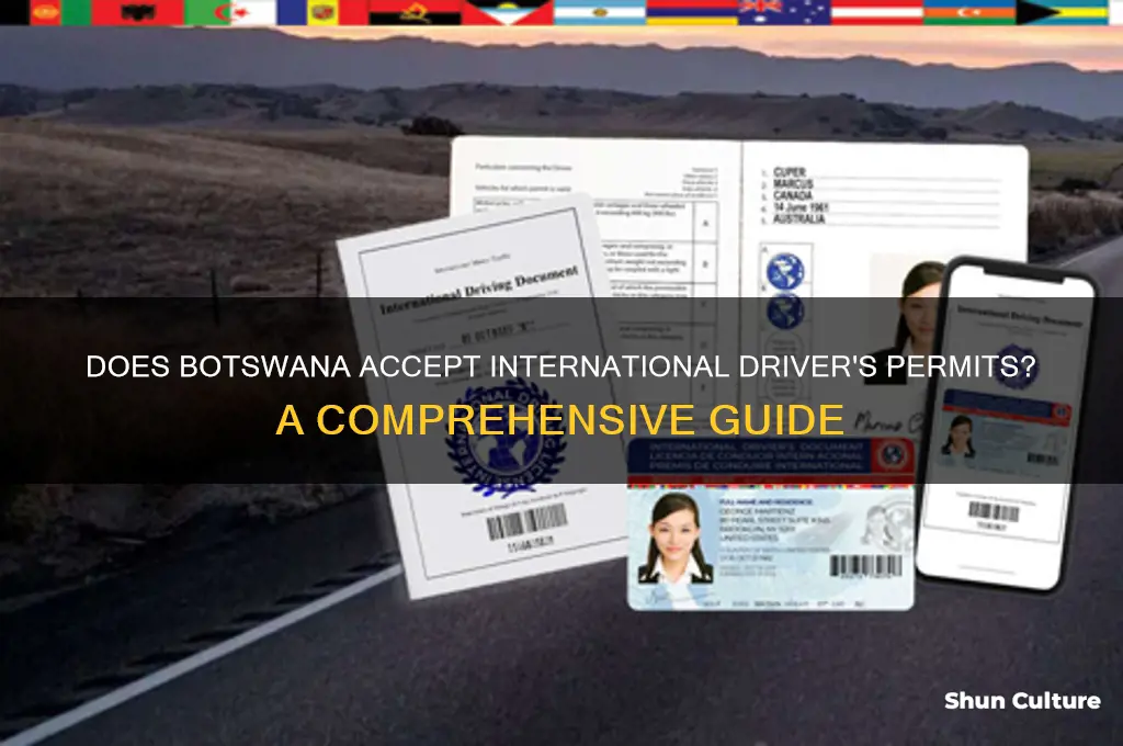 does botswana recognize the international driver
