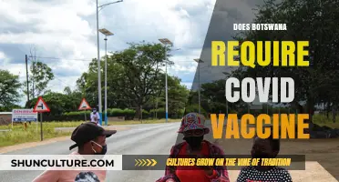 Traveling to Botswana: COVID-19 Vaccine Requirements and Latest Updates