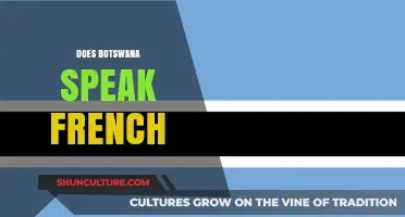 Does Botswana Speak French? Exploring the Country's Official Languages