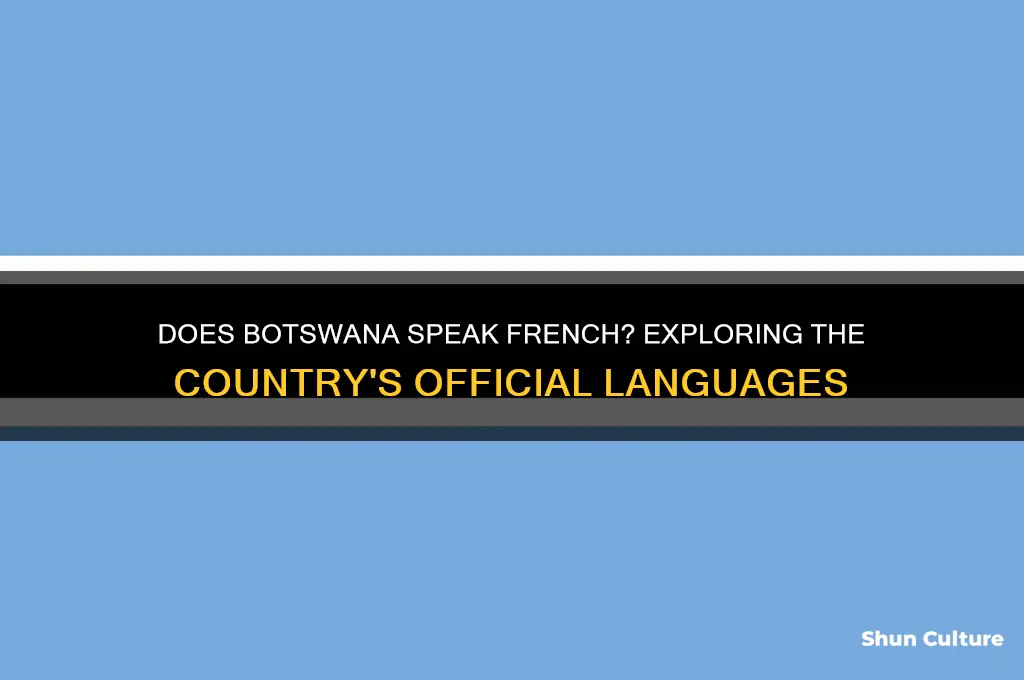 does botswana speak french