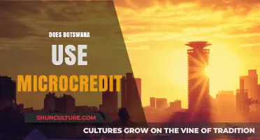 Exploring Microcredit Usage and Impact in Botswana's Economy