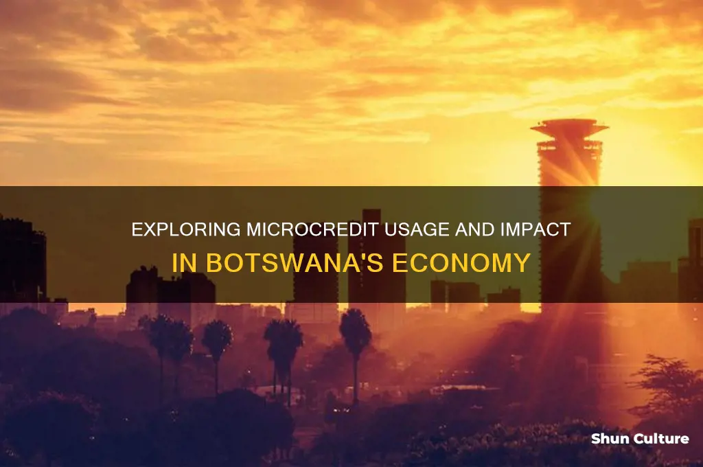does botswana use microcredit