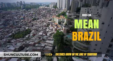 Does BR Mean Brazil? Unraveling the Country Code Mystery
