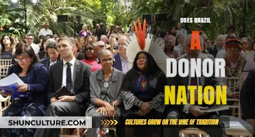 Brazil's Global Role: Donor Nation or Emerging Power?