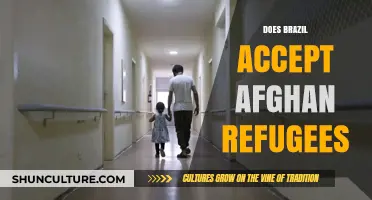 Brazil's Refugee Policy: Welcoming Afghan Asylum Seekers or Not?