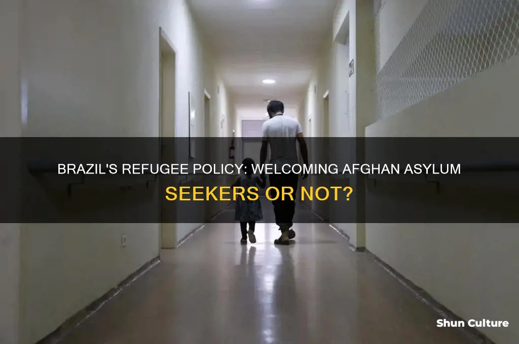 does brazil accept afghan refugees