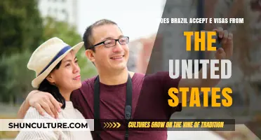 Brazil E-Visa for US Citizens: Eligibility and Application Process