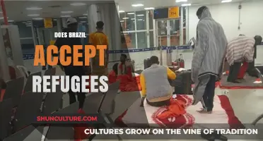 Brazil's Refugee Policy: Acceptance, Challenges, and Humanitarian Efforts Explored