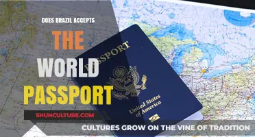 Does Brazil Recognize the World Passport? Travel Document Insights