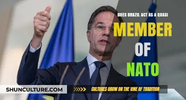 Brazil's NATO Quasi-Membership: Strategic Alliance or Geopolitical Shift?