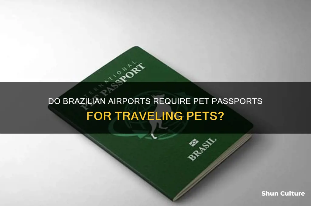 does brazil airports ask for pet passports