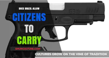 Brazil's Gun Laws: Can Citizens Legally Carry Firearms?