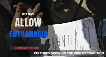 Brazil's Stance on Euthanasia: Legal, Ethical, and Cultural Perspectives