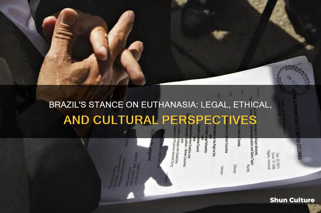 does brazil allow euthanasia