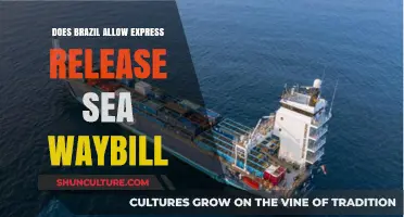 Brazil's Sea Waybill Policy: Express Release Allowed or Restricted?